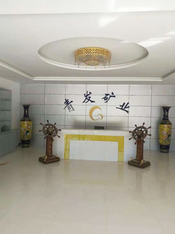 洛陽(yáng)青發(fā)礦業(yè)公司執(zhí)行案司法評(píng)估
